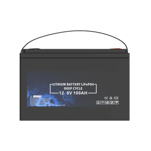 ថ្ម LiFePO4 12V 100Ah ដែលភ្ជាប់មកជាមួយ BMS