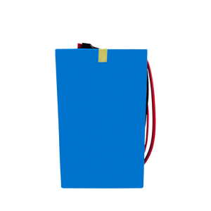 ដង់ស៊ីតេថាមពលខ្ពស់ 48V 30Ah សម្រាប់ម៉ូតូ Scooter អគ្គិសនី ថ្ម Lithium Ion